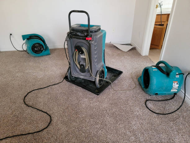 Best Professional water damage repair  in Holtsville, NY