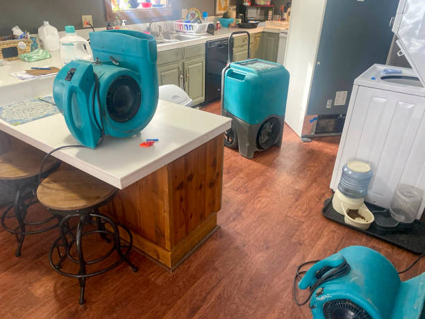  Holtsville, NY Water damage restoration Pros
