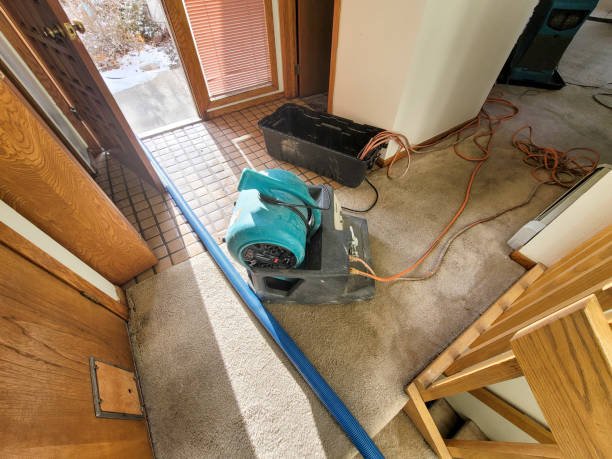 Best Water damage contractors near me  in Holtsville, NY