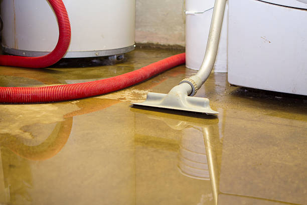 Best Fire Damage Restoration  in Holtsville, NY
