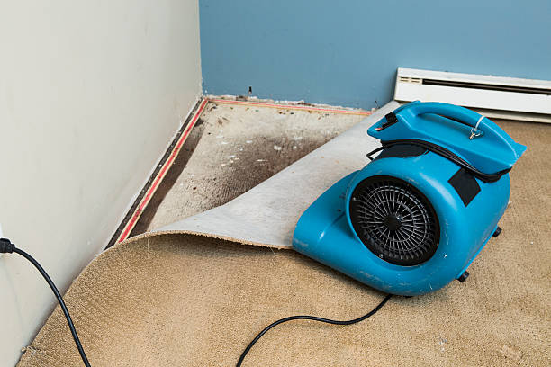 Best Water damage contractors near me  in Holtsville, NY